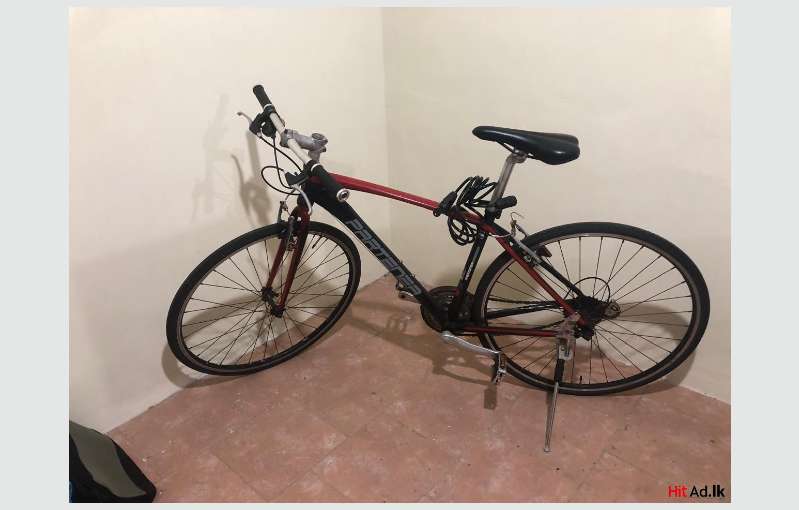 Migration Sale Partenza Road Bike