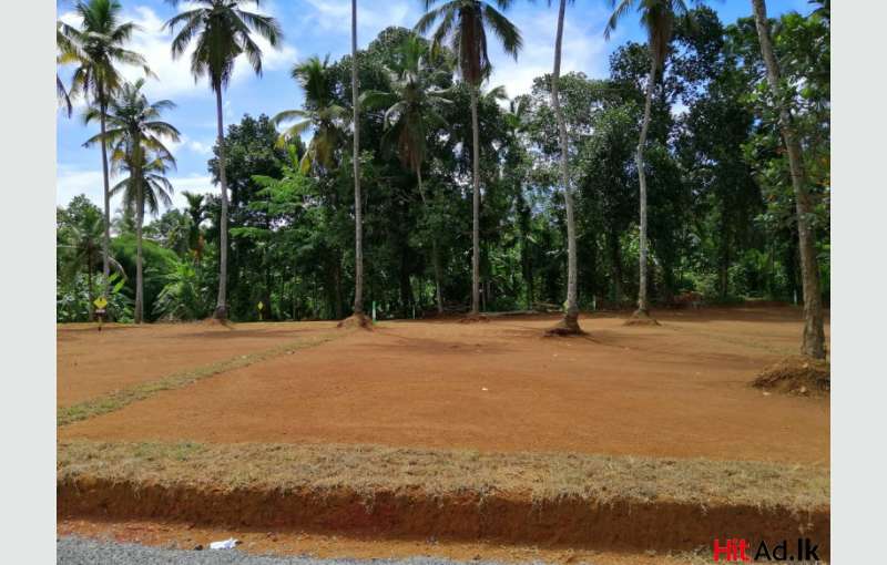 Land For Sale Close To Yakkala