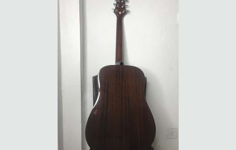 Gereg Benett D-1n Guitar With Professional Case 