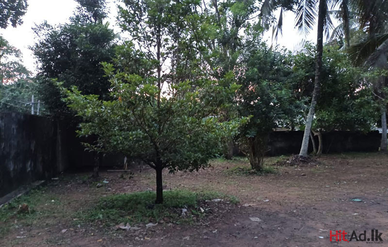 Land for Sale in Kottawa