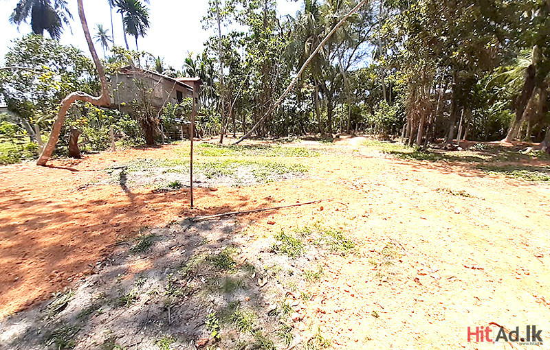 Estates for Sale in Bentota