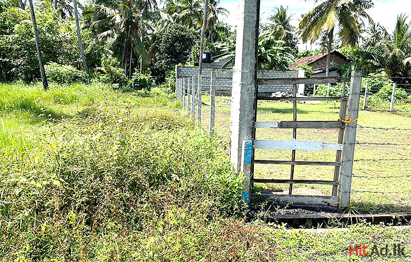 Land for Sale in Dungalpitiya