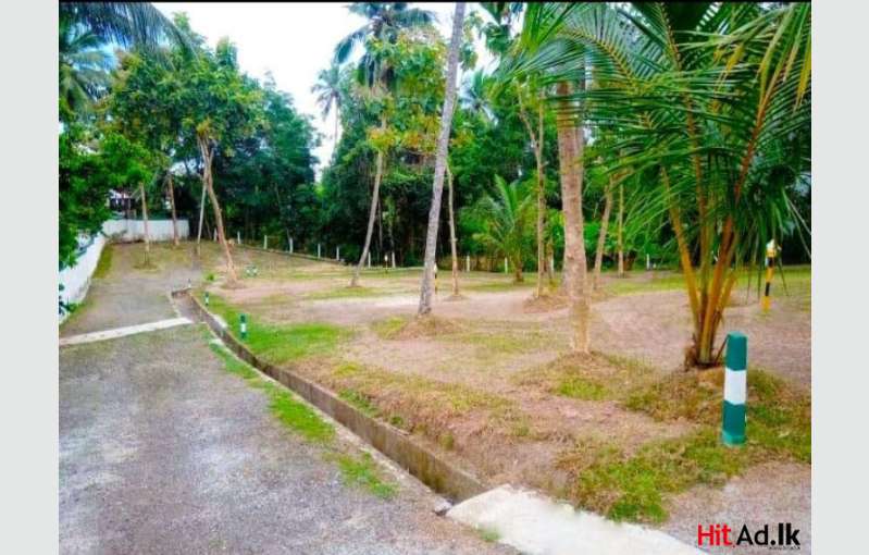 Kadawatha Land For Sale