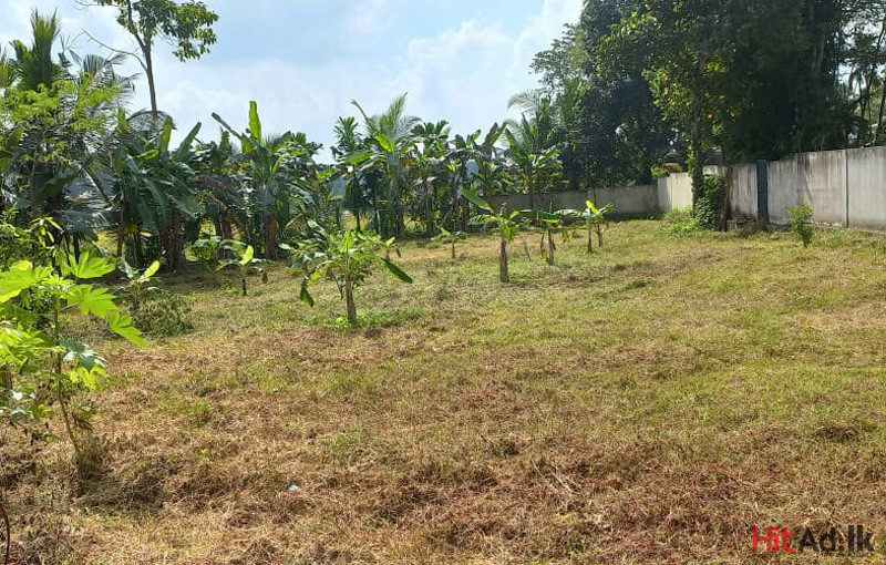 Land for sale in Horana