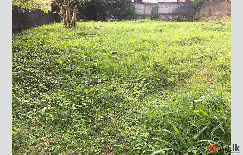 Land for Sale in Kadawatha