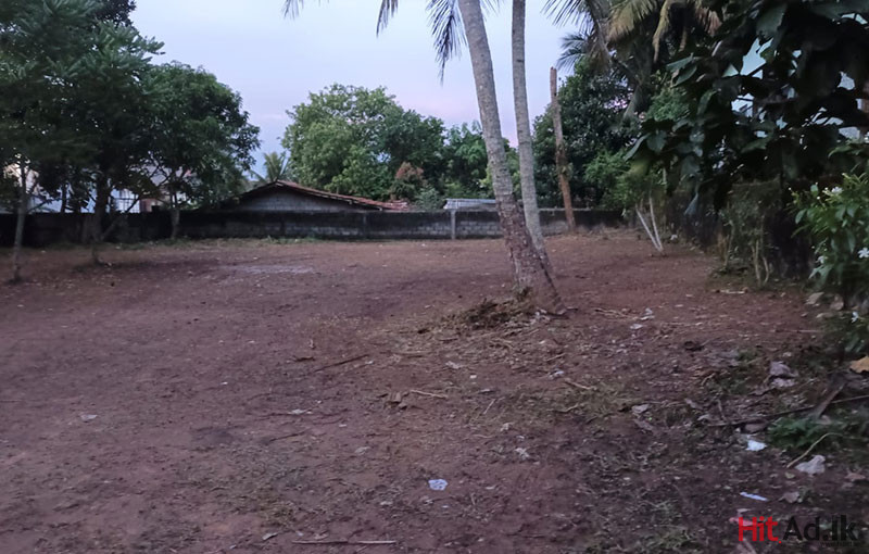 Land for Sale in Kottawa