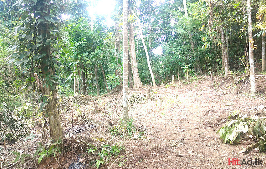 Kandy Land for Sale Property Lands HitAd.lk