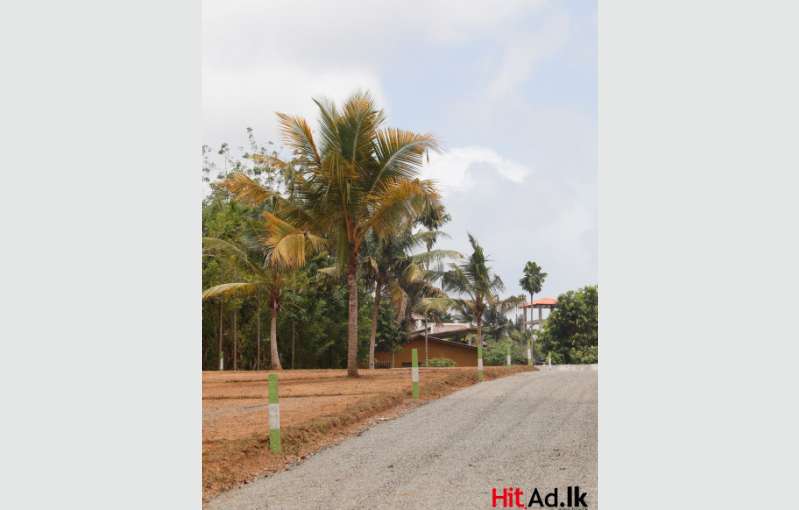 Piliyandala Land For Sale