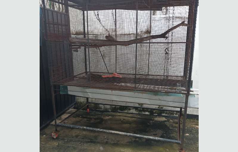 Cage For Quick Sale 