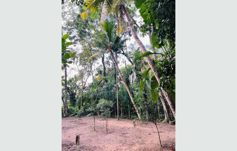 10 Perch Land For Sale In Maharagama