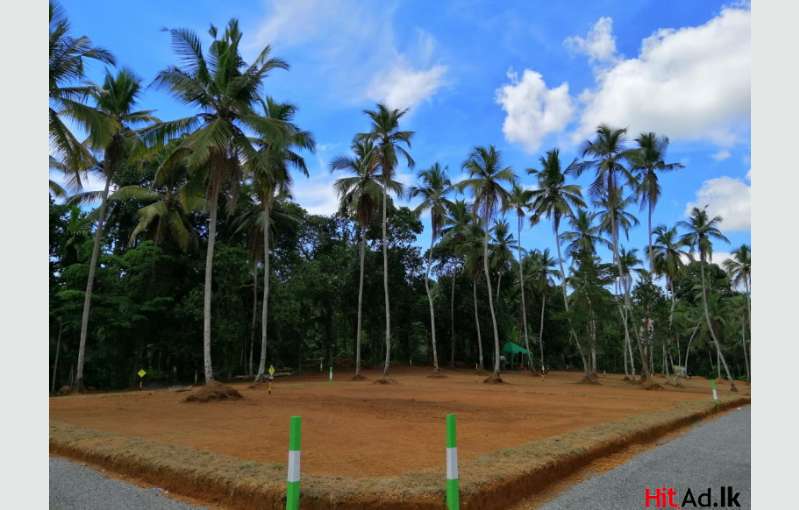 Lands For Sale Near Gampaha Yakkala