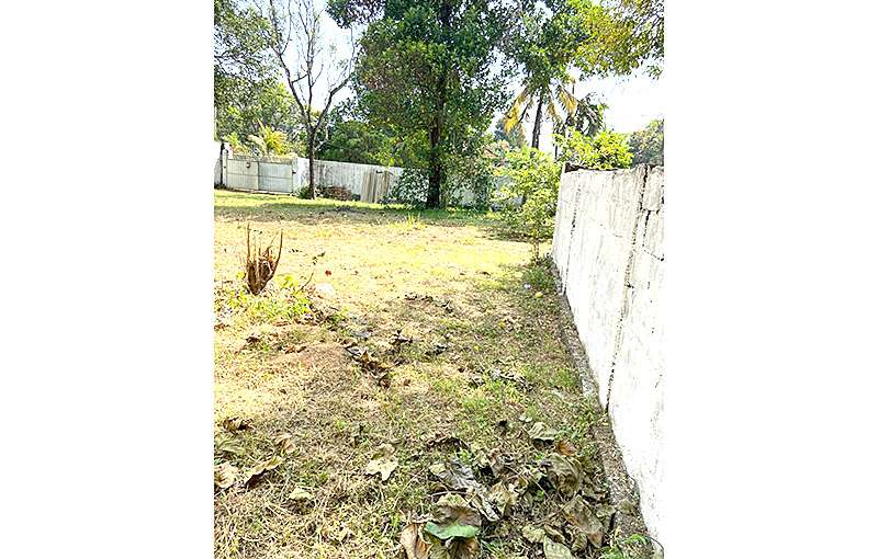 Land for Sale in Mount Lavinia