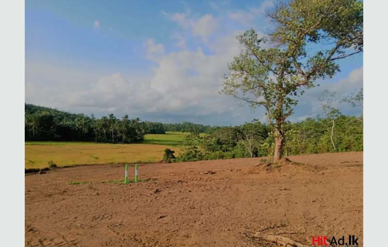 Land For Sale In Galle Bentota