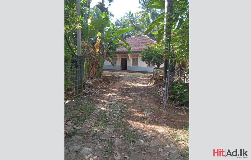 House for rent in Kandy