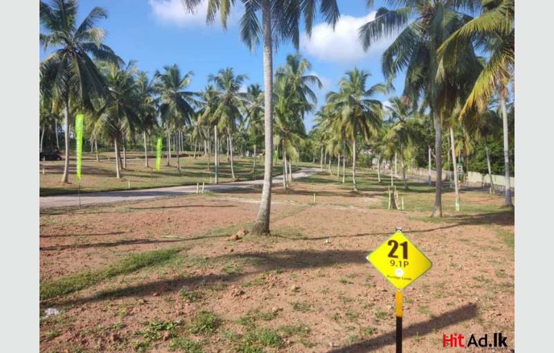 Kahathuduwa Land For Sale