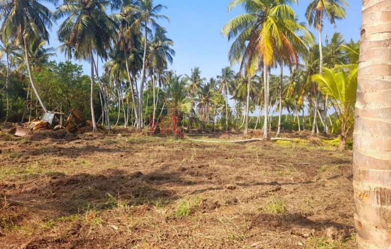 Land  For  sale Nigambo  