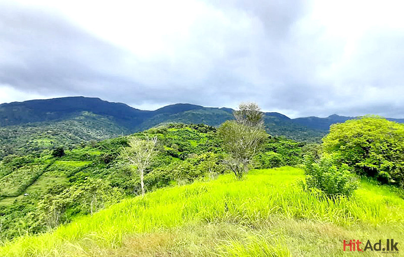 Kandy-Thalatuoya Land for Sale