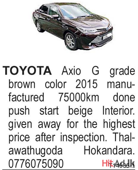 Toyota Axio G grade