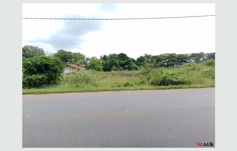 Anuradhapura Land For Sale 