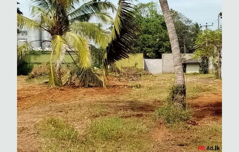 Commercial Land For Sale In Biyagama