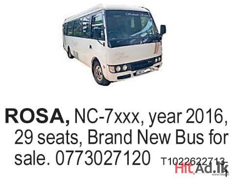 Rosa 2016 Bus