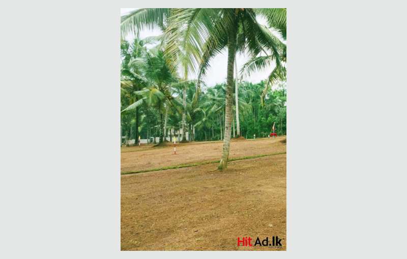 Investment plots for sale waga