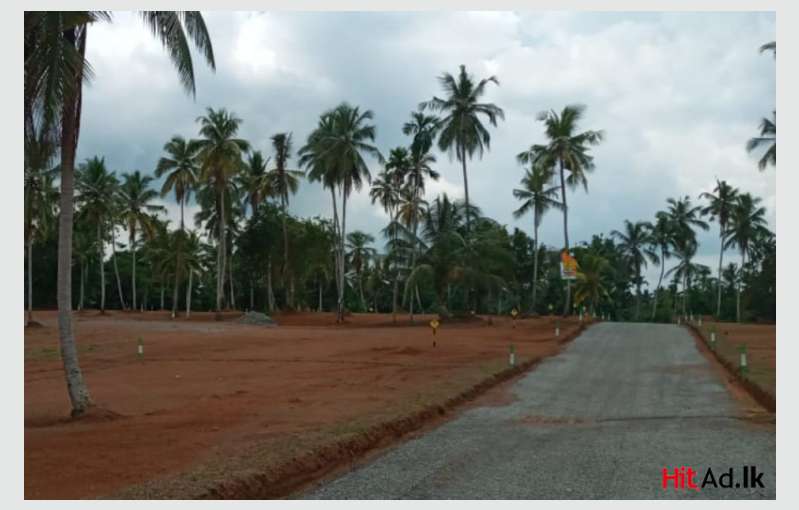 Lands For Sale Near Gampaha