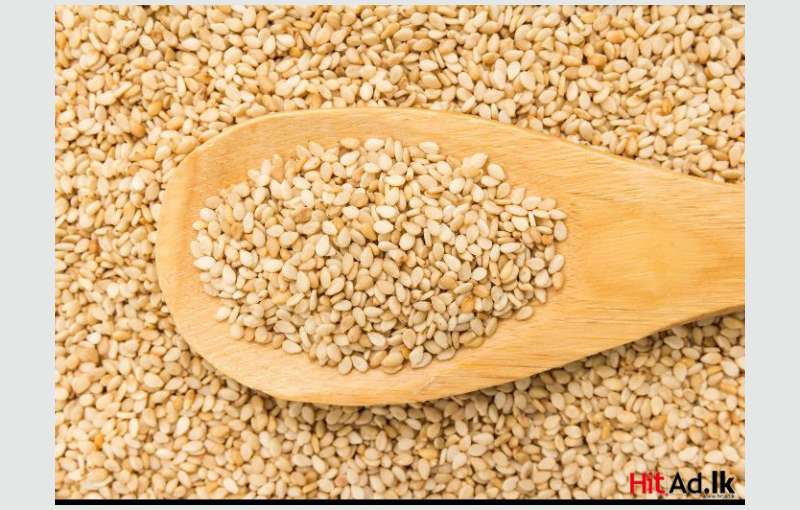 Sesame Seeds