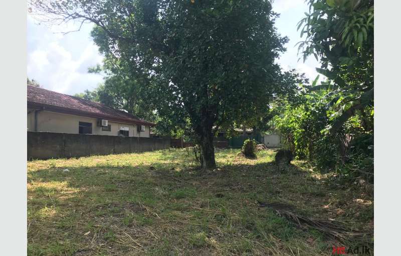 Land for sale in Katunayake