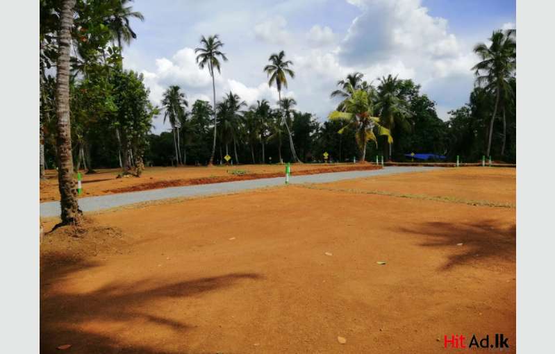 Land For Sale Near Yakkala