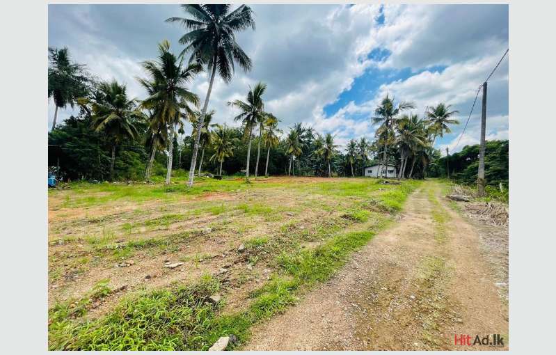 Commercial land for rent near Diyagama Mahinda Rajapaksha ground
