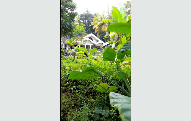 Dankotuwa land for sale