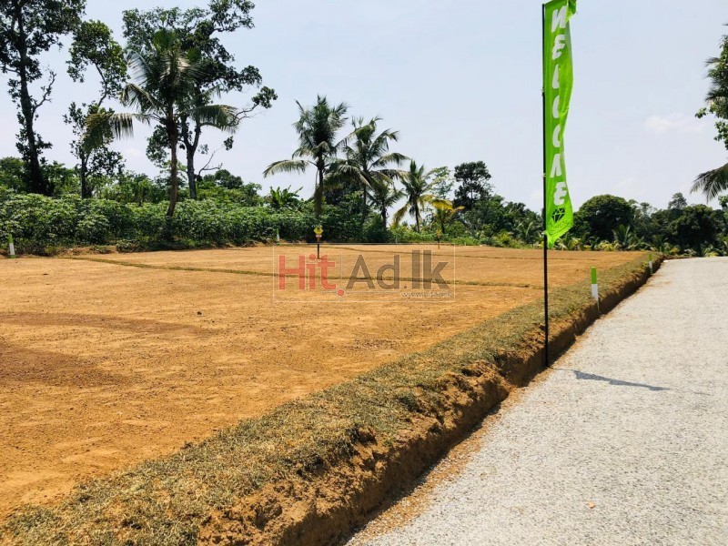 Land For Sale - Bope