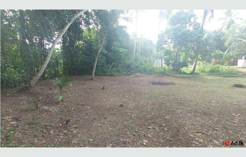 Land For Sale In Gampaha