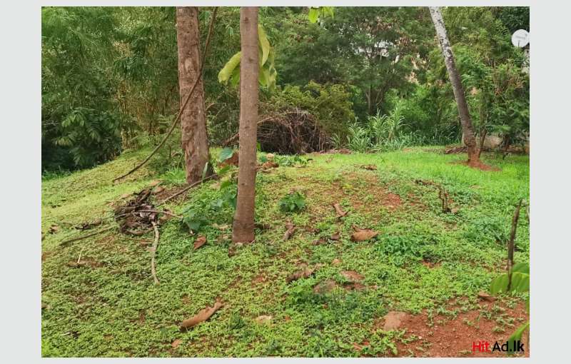 Land For Sale In Kandy Within Municipal Limits 