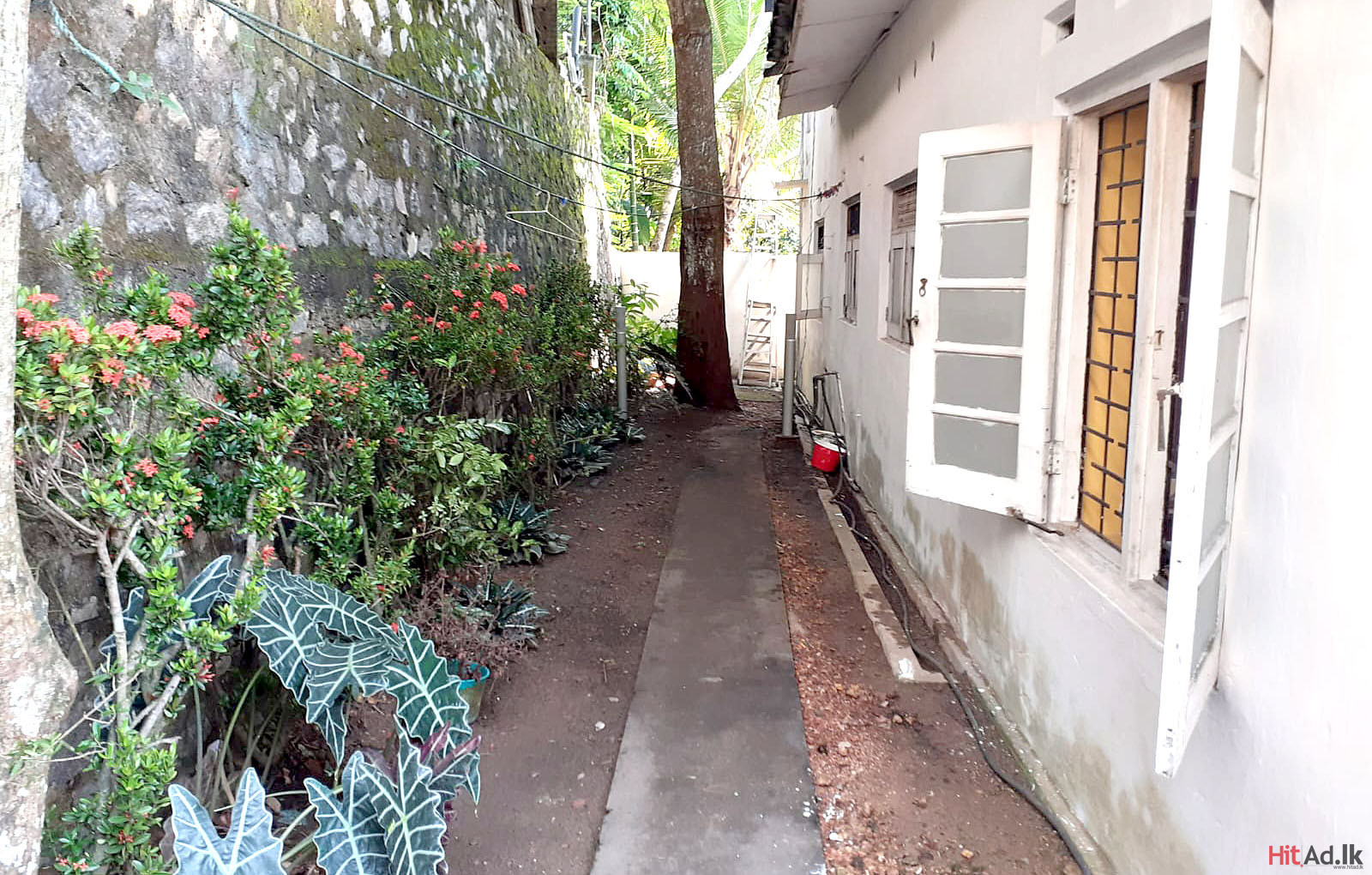 Dehiwala Upstairs House for Sale Property Houses HitAd.lk