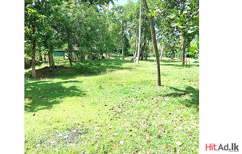 Land for Sale in Kamburugamuwa