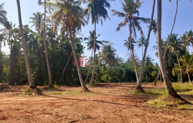 Land  For  sale Nigambo  