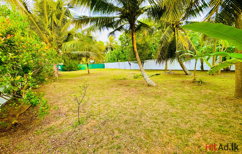 Land for Sale in Panadura