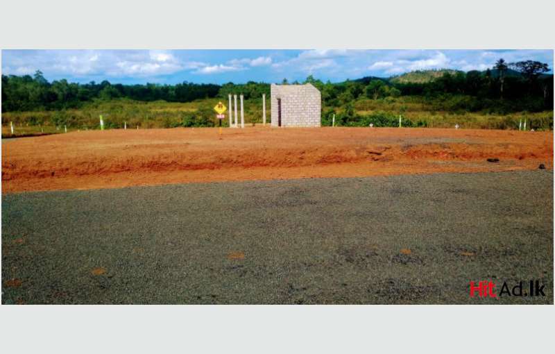 Land For Sale In Kalutara Palathota