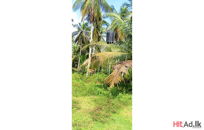 Madampe-Galmuruwa Land for Sale