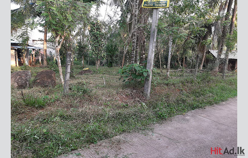 Land for Sale in Weliweriya