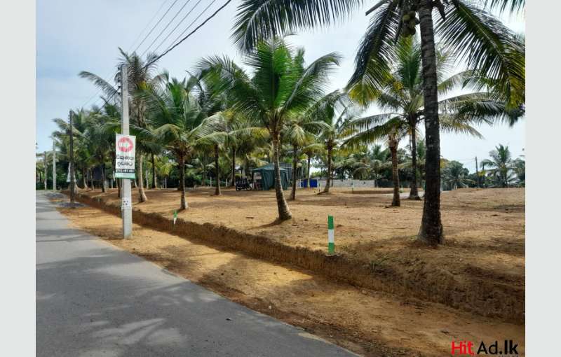 Land for sale in Kiriwaththuduwa