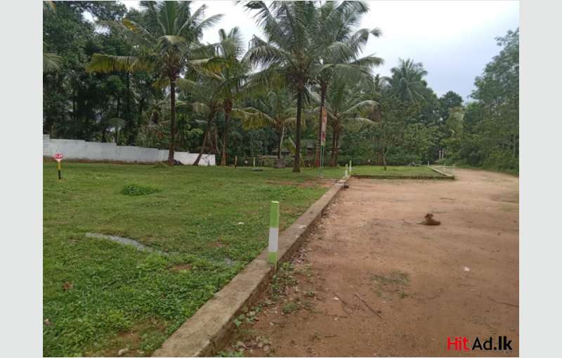 Land for sale in halbarawa