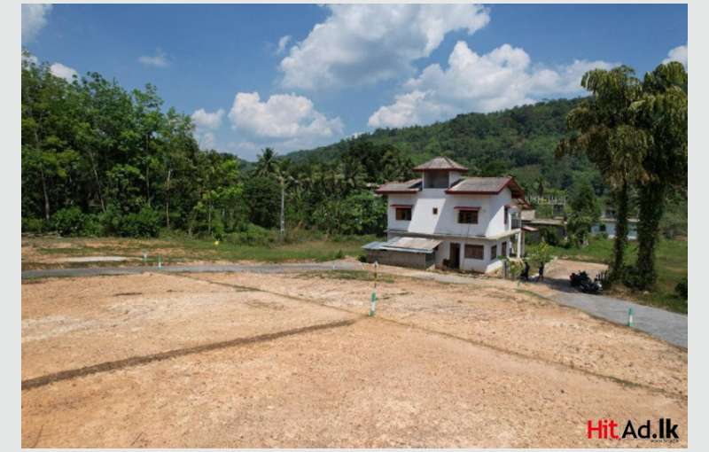 Land For Sale In Horana Bulathsinhala