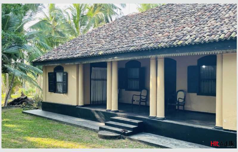 Urgently Wanted : Annex / House In Kandy