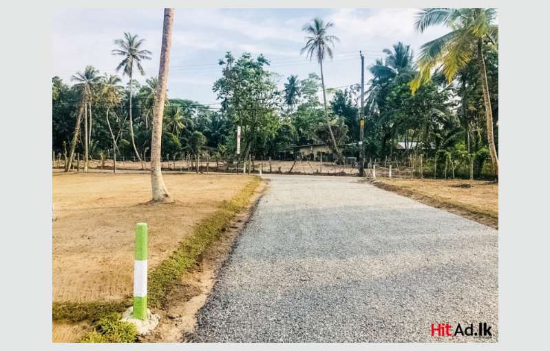 Land In Wadduwa For Sale