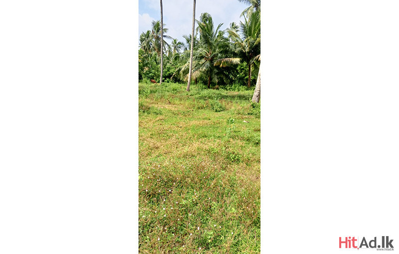 Madampe-Galmuruwa Land for Sale