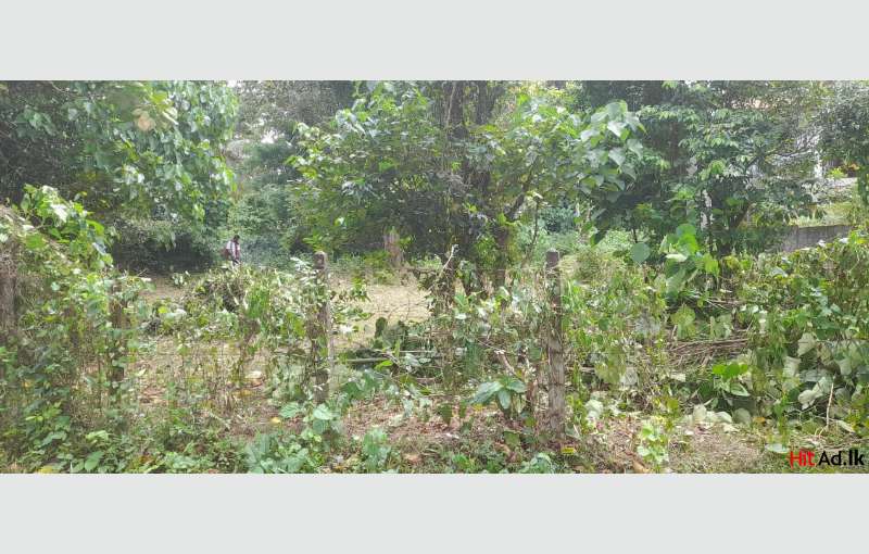 Prime Land For Sale In Battaramulla Near Thalangama Lake