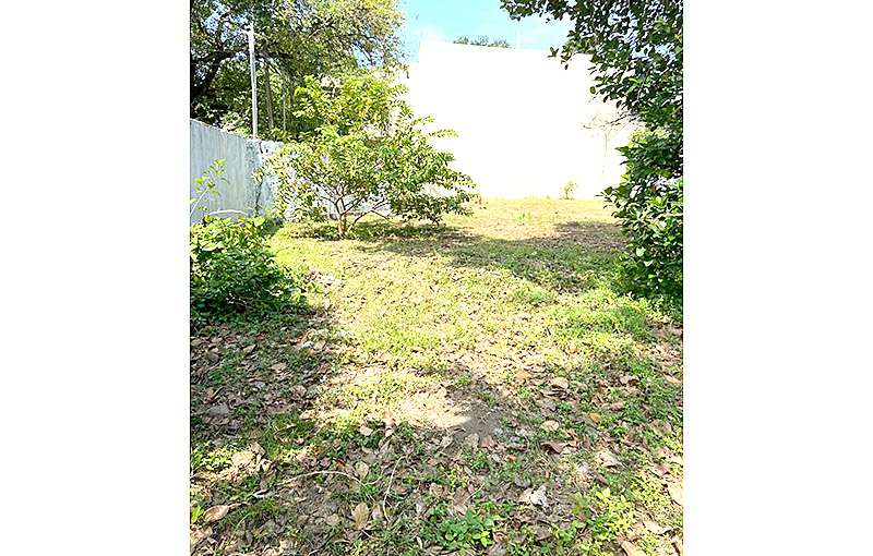 Land for Sale in Mount Lavinia